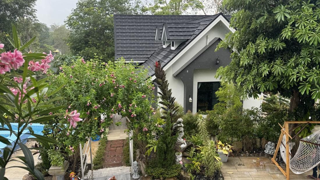 Cozy House